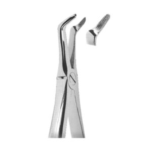 Extracting Forceps English Pattern